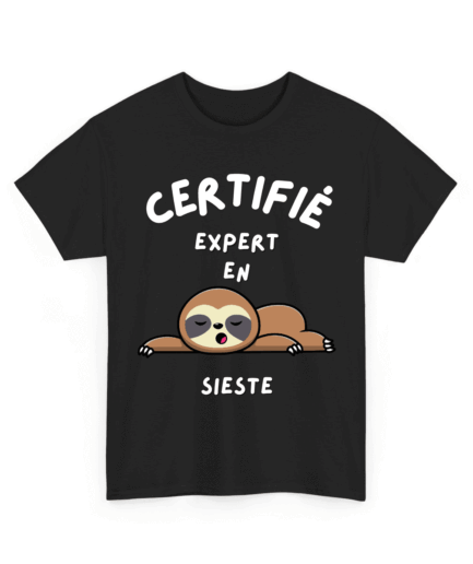 Certifié.e expert.e en sieste