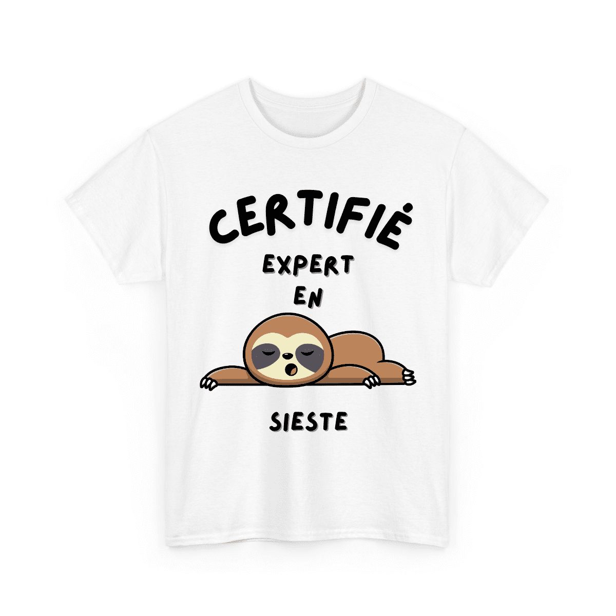 Certifié.e expert.e en sieste – Image 2